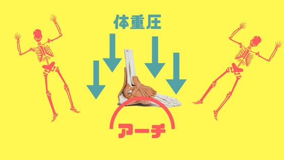 足にあるアーチは体重圧で低下すると疲れる